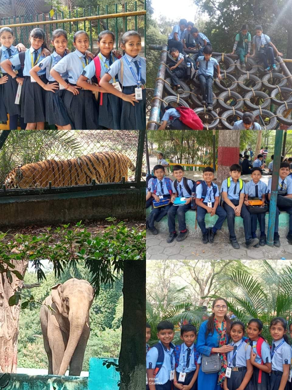 Sanmati H.S. School Indore